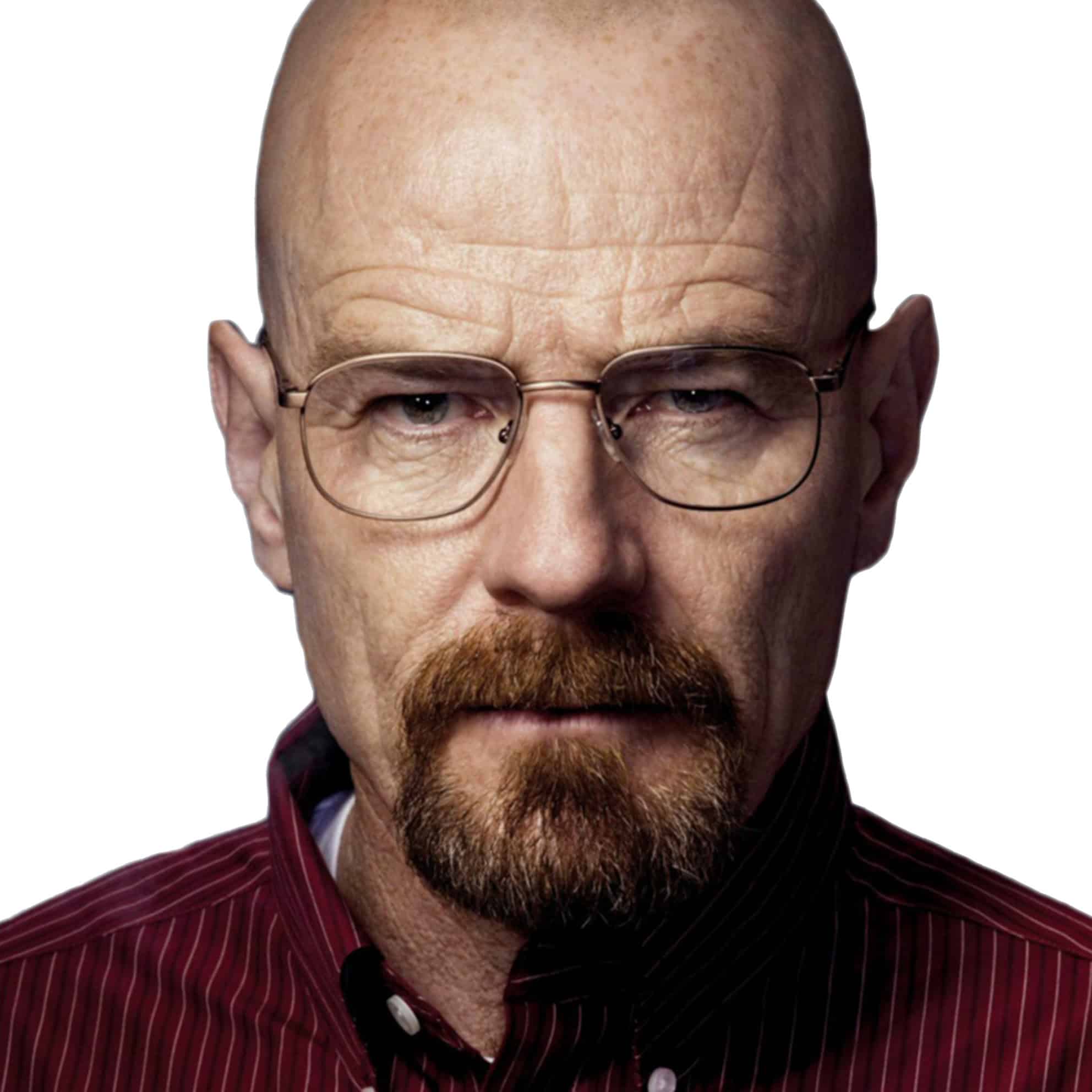 Bald man with glasses and a beard in a red-striped shirt, representing The Print 4 Team, gazes intently at the camera against a white background.